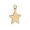Charmalong&#x2122; 14K Gold Plated Star Charm by Bead Landing&#x2122;